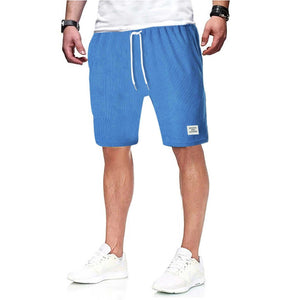 Blue Simple Shorts with drawstring waistband and comfortable fit.